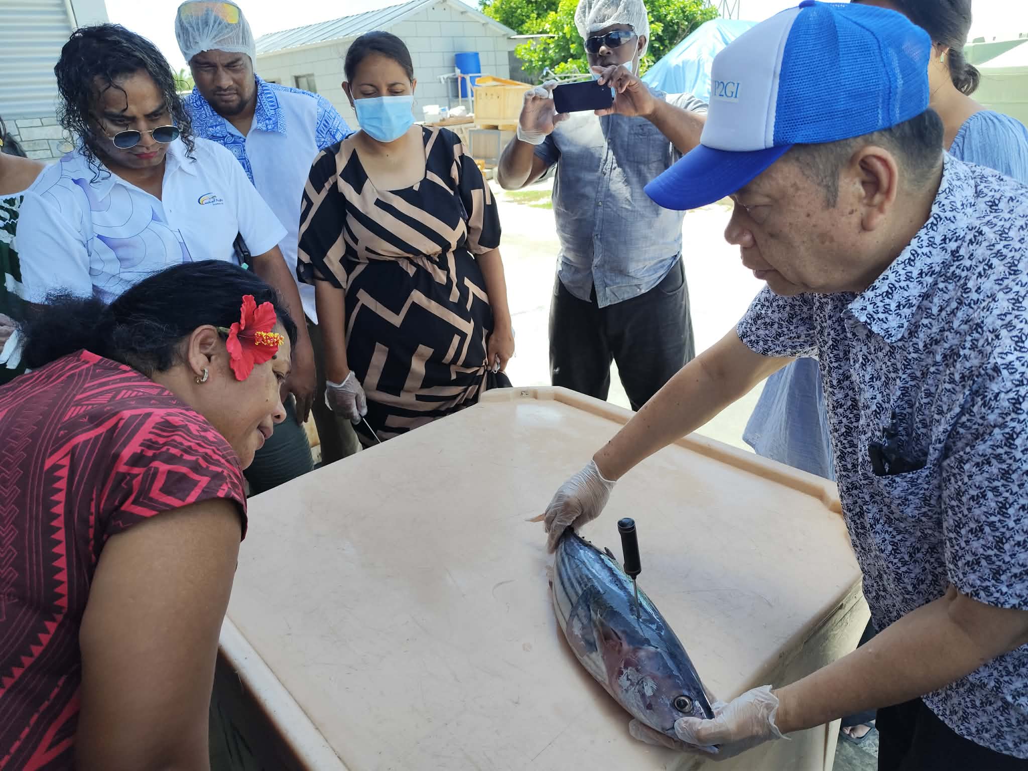 MFOR, CPPL and KFL Staff Upskilled in Tuna Quality Assessment