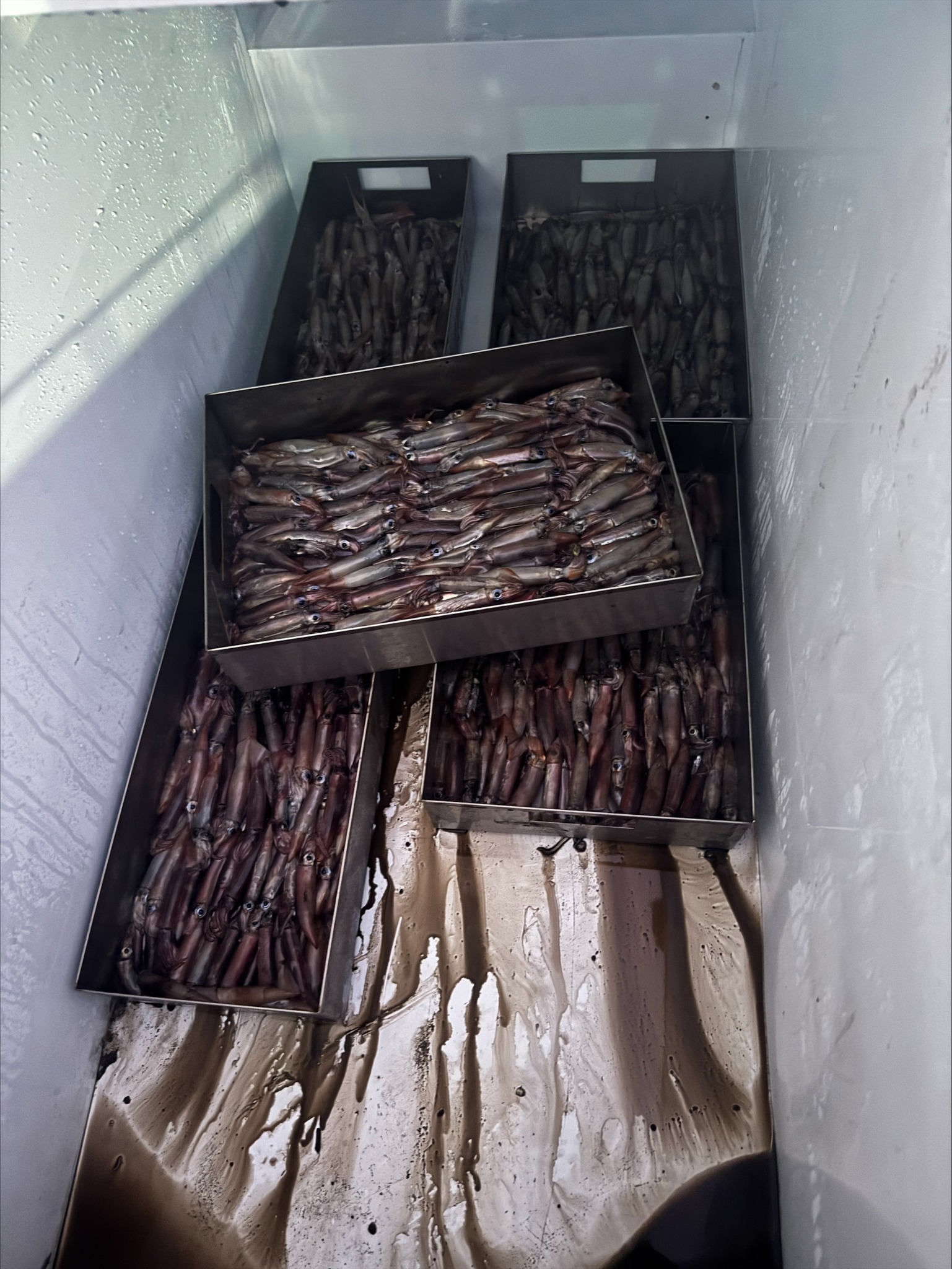 MFOR Clarification Regarding Squid Fishing Vessel Operating Nea South Tarawa on the evening of 3 April 2026.