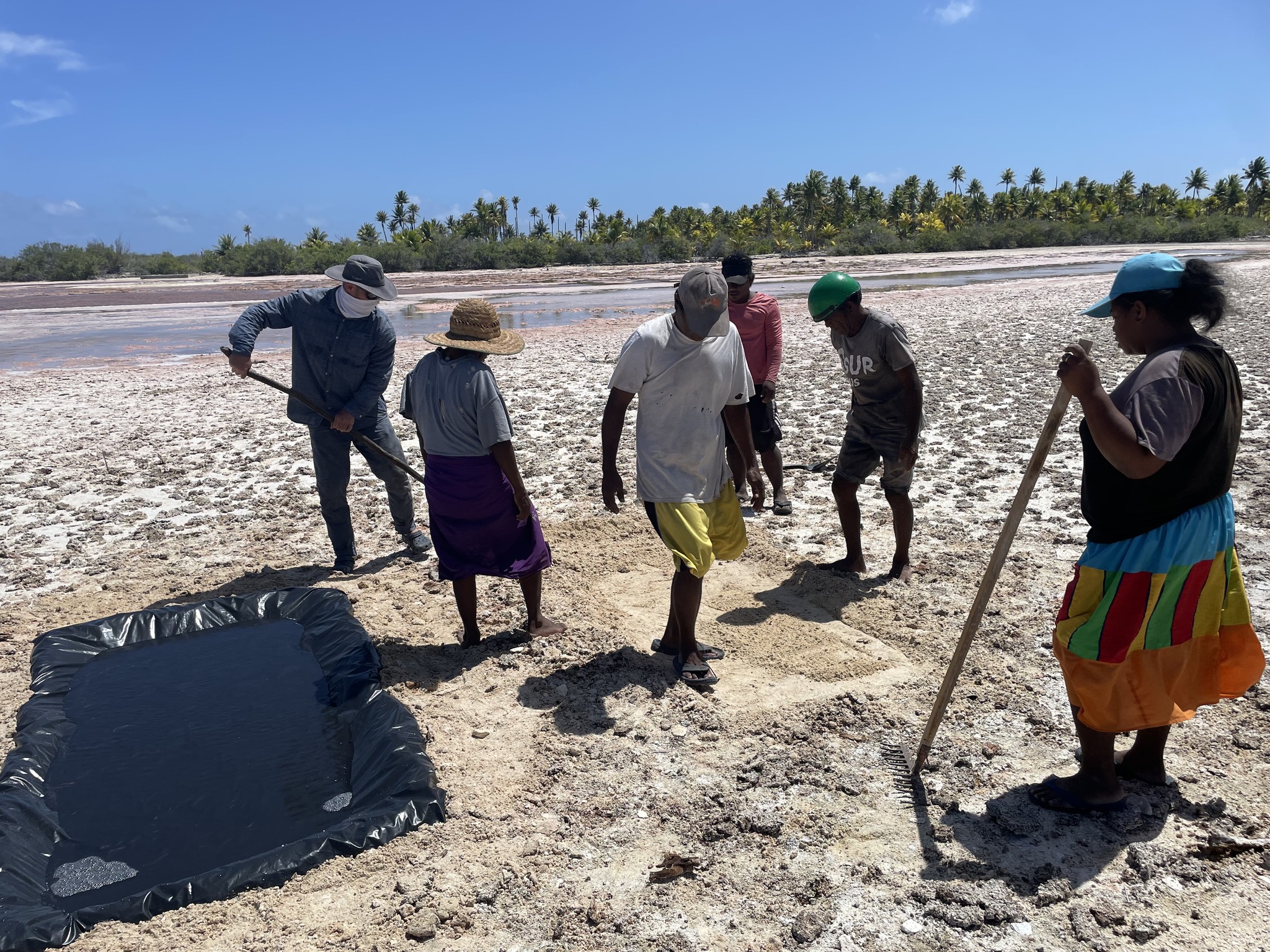 MFOR Partners with French Solar Salt Company for Value-Added Salt Production