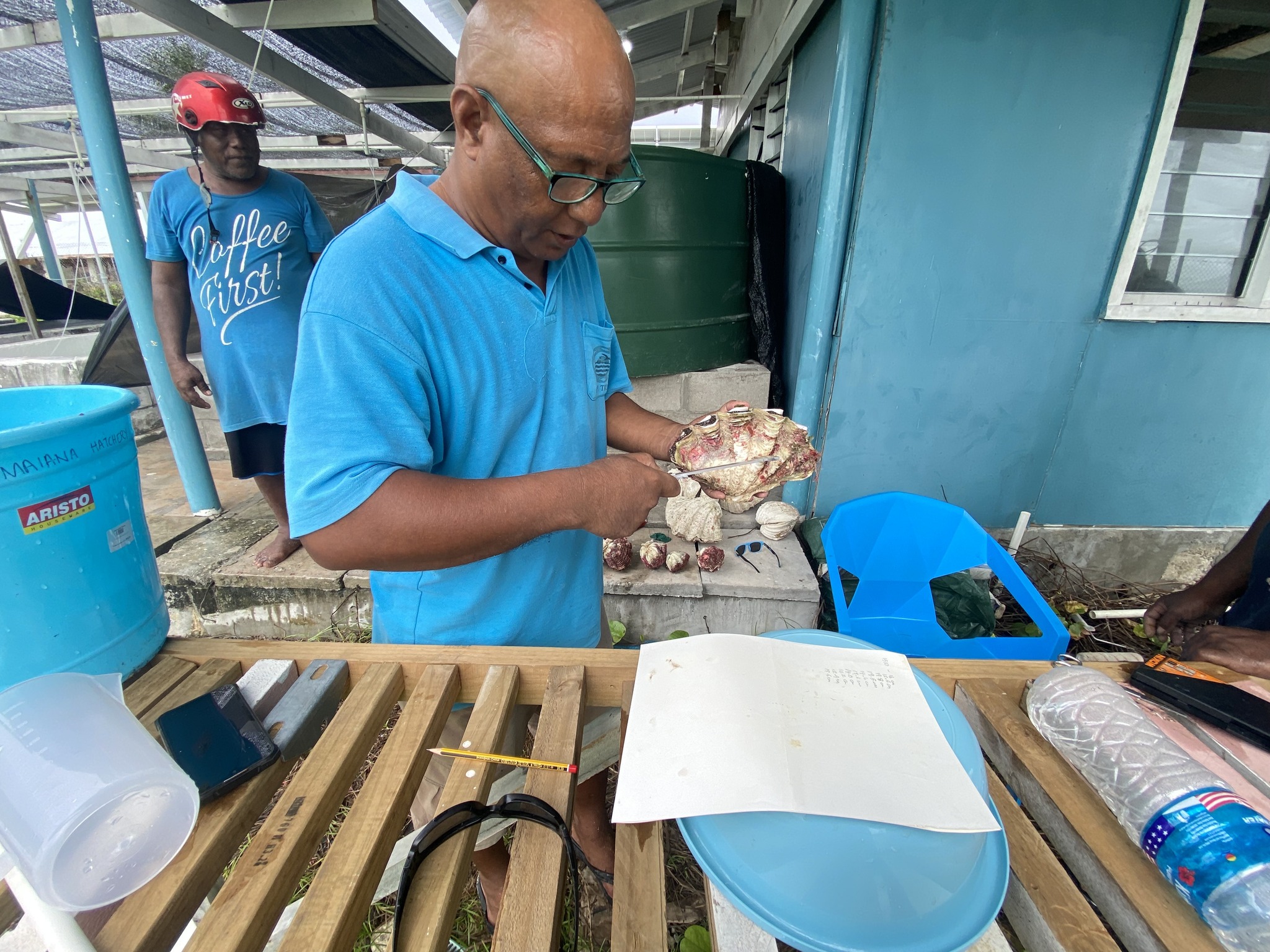 Maiana Communities Trained to Lead Giant Clam Farming for the Future