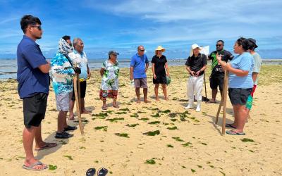 Seaweed Farming Shows Promising Results