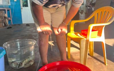 Kiribati Strengthens Regional Giant Clam Aquaculture Capacity