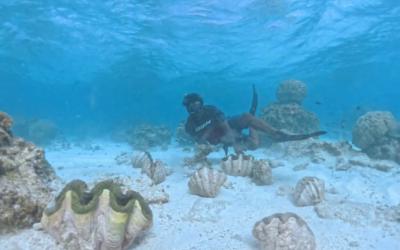 Mapping Resources & Restoring Giant Clams in Butaritari
