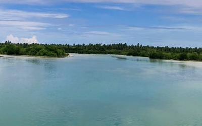 Makin Takes a Big Step Toward Sustainable Fish Farming