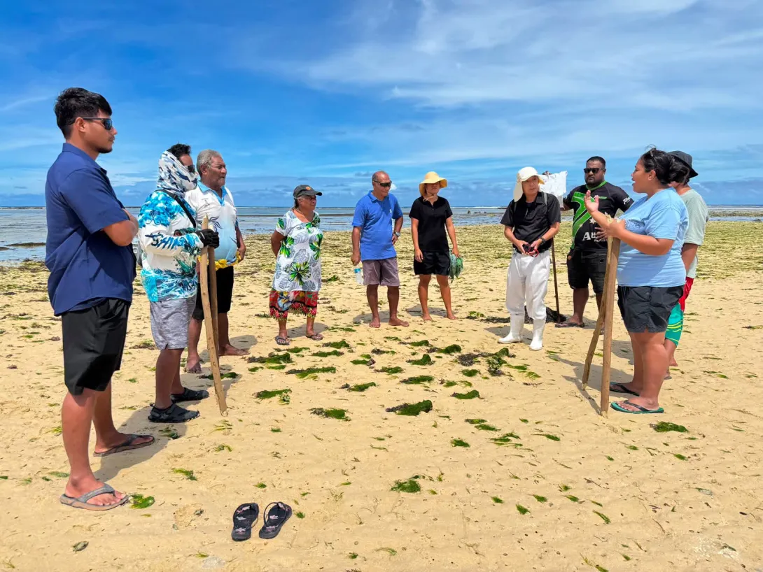Seaweed Farming Shows Promising Results