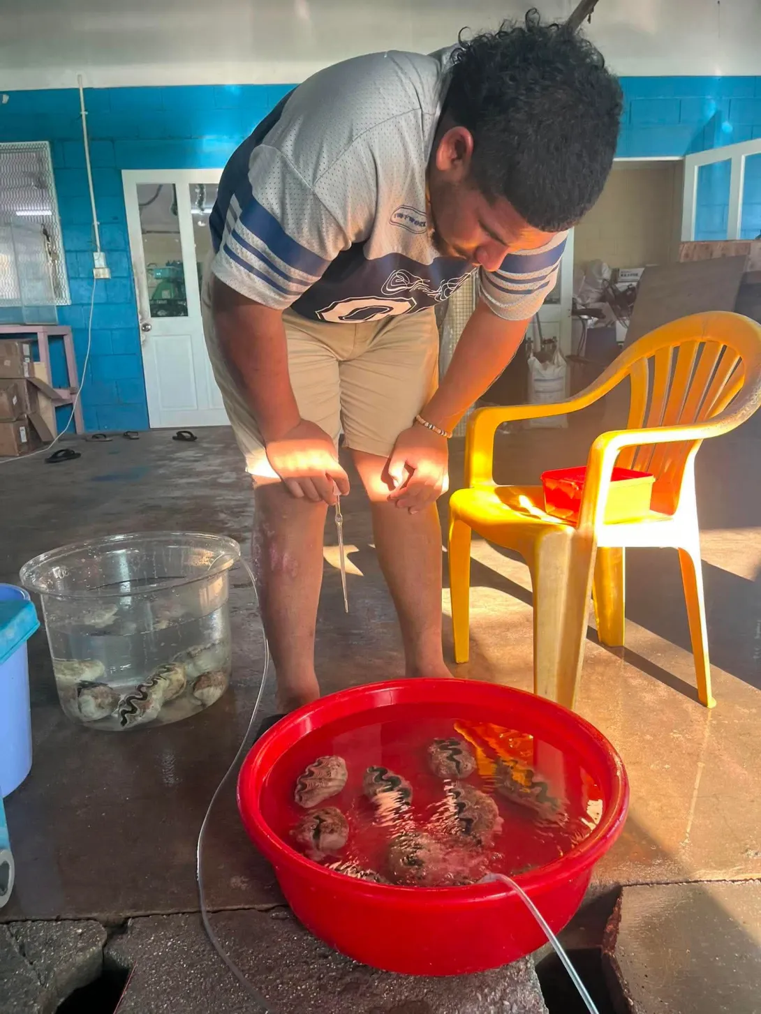Kiribati Strengthens Regional Giant Clam Aquaculture Capacity