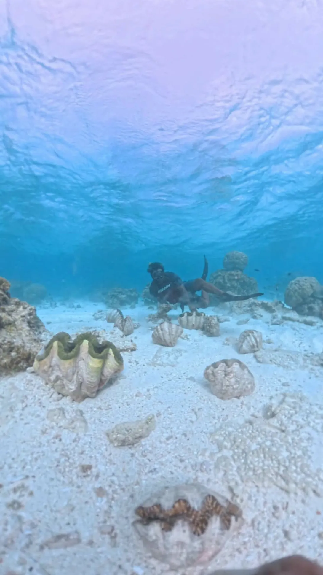 Mapping Resources & Restoring Giant Clams in Butaritari